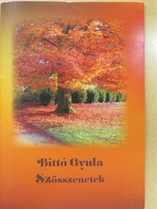 Bittó Gyula - Szösszenetek (dedikált példány) [antikvár]