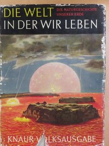 Die Welt in der wir leben [antikvár]