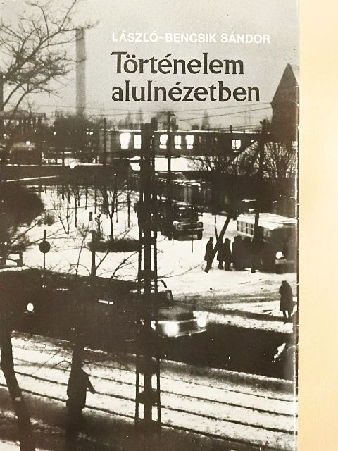 László-Bencsik Sándor - Történelem alulnézetben [antikvár]