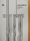 Schiff András - A zene a csendből jön [antikvár]