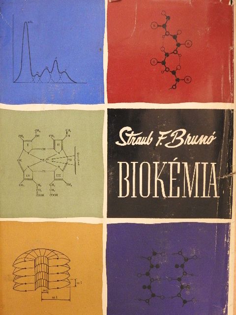 Straub F. Brunó - Biokémia [antikvár]