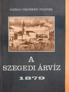 Dégen Imre - A szegedi árvíz 1879. [antikvár]