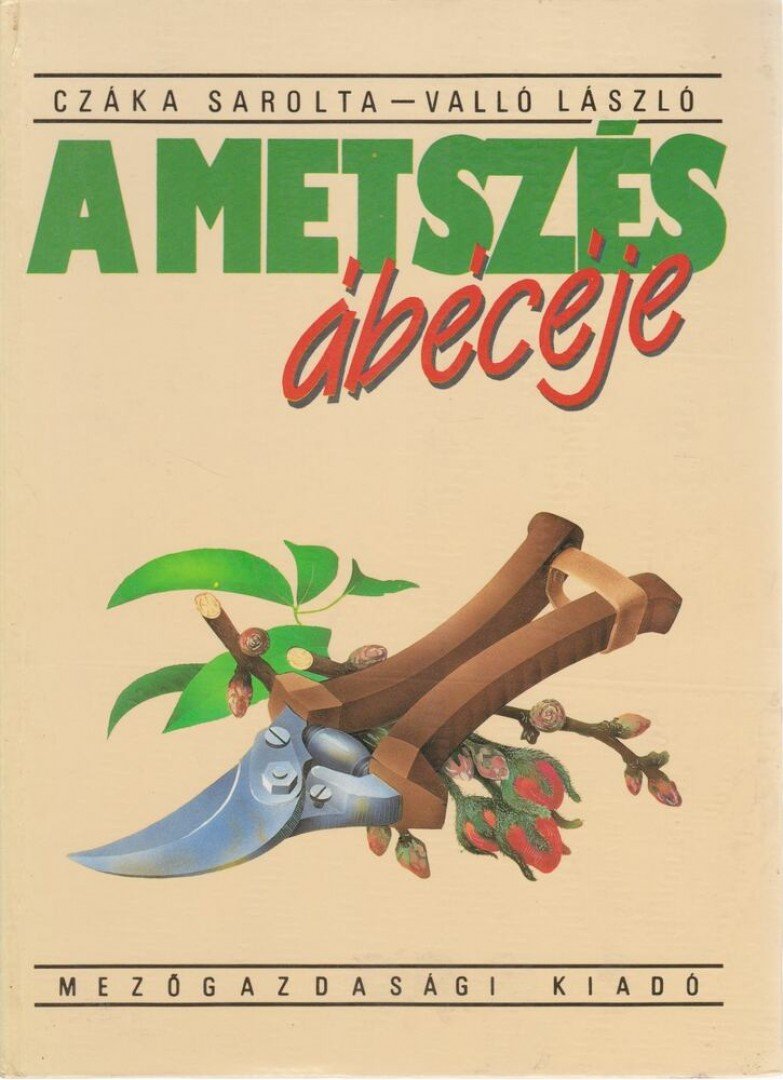 Valló László, Czáka Sarolta - A metszés ábécéje [antikvár]