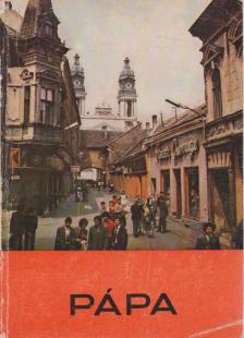 Heitler László, Szalay Antal - Pápa [antikvár]