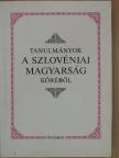 Gráfik Imre - Tanulmányok a szlovéniai magyarság köréből [antikvár]