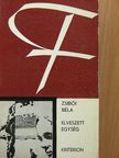 Zsibói Béla - Elveszett egység [antikvár]