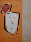 N. Pocsivalin - Zajlik a jég [antikvár]