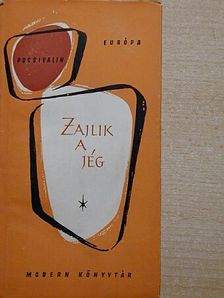 N. Pocsivalin - Zajlik a jég [antikvár]