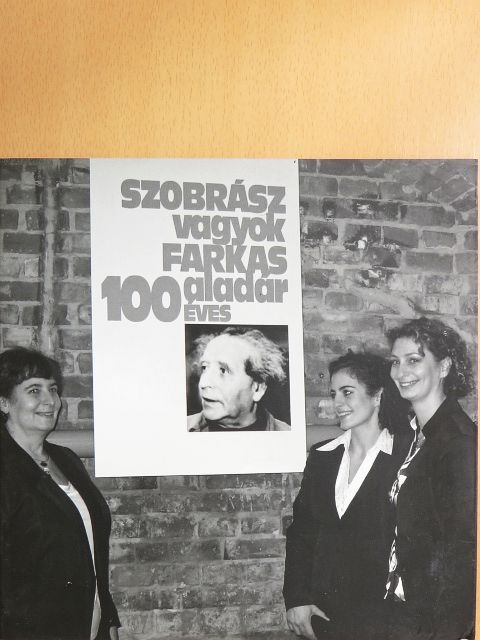 Feledy Balázs - Szobrász vagyok [antikvár]