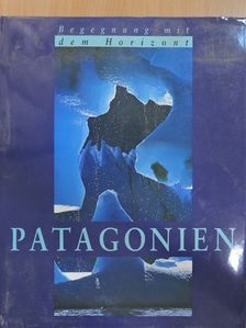 Susanne Asal - Patagonien [antikvár]