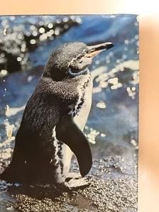 Helmut Bechtel - Zoo Galapagos [antikvár]