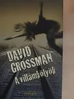 David Grossman - A villámkölyök [antikvár]