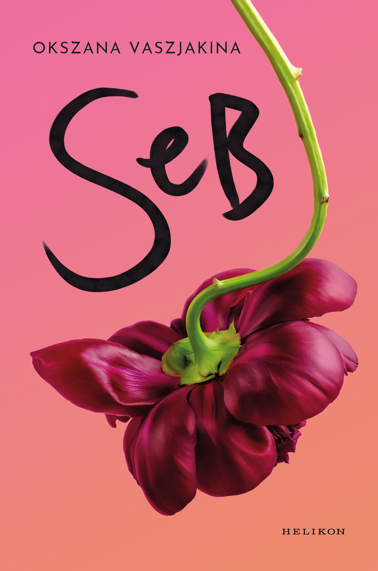 Okszana Vaszjakina - Seb [eKönyv: epub, mobi]