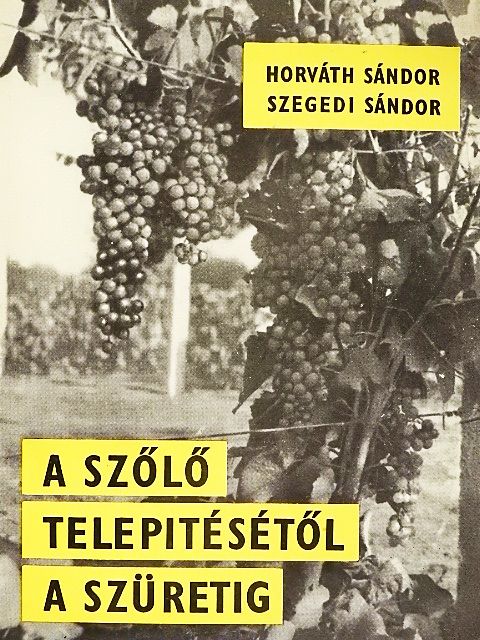 Horváth Sándor - A szőlő telepítésétől a szüretig [antikvár]