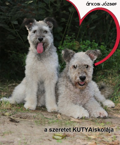 Árkosi József - A szeretet KUTYAiskolája [eKönyv: epub, mobi]