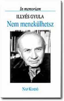 Domokos Mátyás - Nem menekülhetsz [antikvár]
