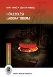 Bitay Enikő, Vágvári Ferenc - Hőkezelési laboratórium