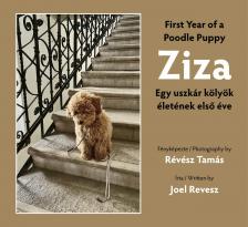 Révész Tamás-Joel Revesz - Ziza