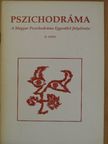 Pszichodráma 6. [antikvár]