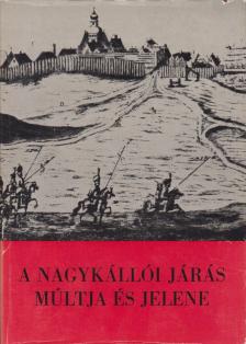Csepelyi Tamás et al. (szerk.) - A Nagykállói járás múltja és jelene [antikvár]