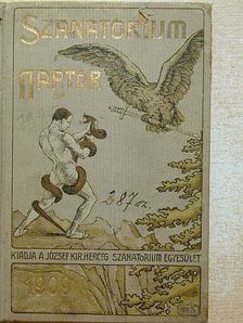 Ábrányi Emil - Sanatorium Naptár 1909 [antikvár]