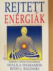 Bodo J. Baginski - Rejtett energiák [antikvár]