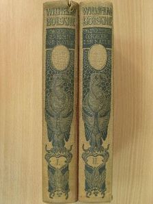 Wilhelm Bölsche - Entwickelungsgeschichte der Natur I-II. (gótbetűs) [antikvár]