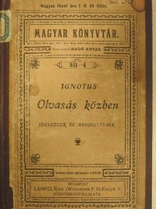Erich Berneker - Olvasás közben [antikvár]