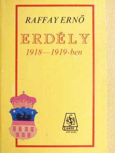 Raffay Ernő - Erdély 1918-1919-ben [antikvár]