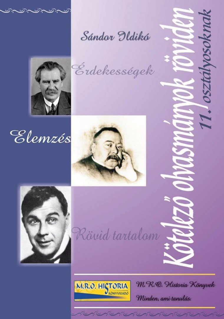 Sándor Ildikó - Kötelező olvasmányok röviden 11. osztályosoknak [antikvár]