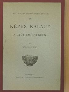Radisics Jenő - Képes kalauz a gyüjteményekben [antikvár]