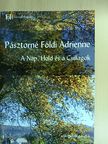 Pásztorné Földi Adrienne - A Nap, Hold és a Csillagok [antikvár]