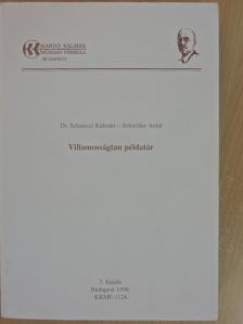 Dr. Selmeczi Kálmán - Villamosságtan példatár [antikvár]