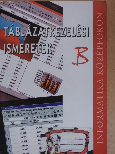 Dr. Álló Géza - Táblázatkezelési ismeretek "B" [antikvár]