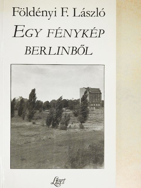 Földényi F. László - Egy fénykép Berlinből [antikvár]