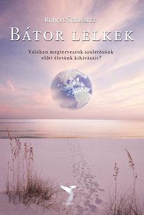 Robert Schwartz - Bátor lelkek - Valóban megtervezzük születésünk előtt életünk kihívásait