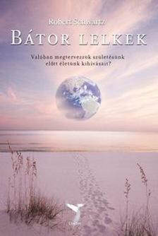 Robert Schwartz - Bátor lelkek - Valóban megtervezzük születésünk előtt életünk kihívásait