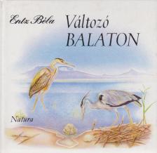 ENTZ BÉLA - Változó Balaton [antikvár]