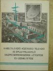 Dési Albert - Kábeltelevízió, közösségi televízió és épületfelügyelő diszpécserrendszerek létesítése és üzemeltetése [antikvár]