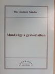 Dr. Lindner Sándor - Munkaügy a gyakorlatban [antikvár]