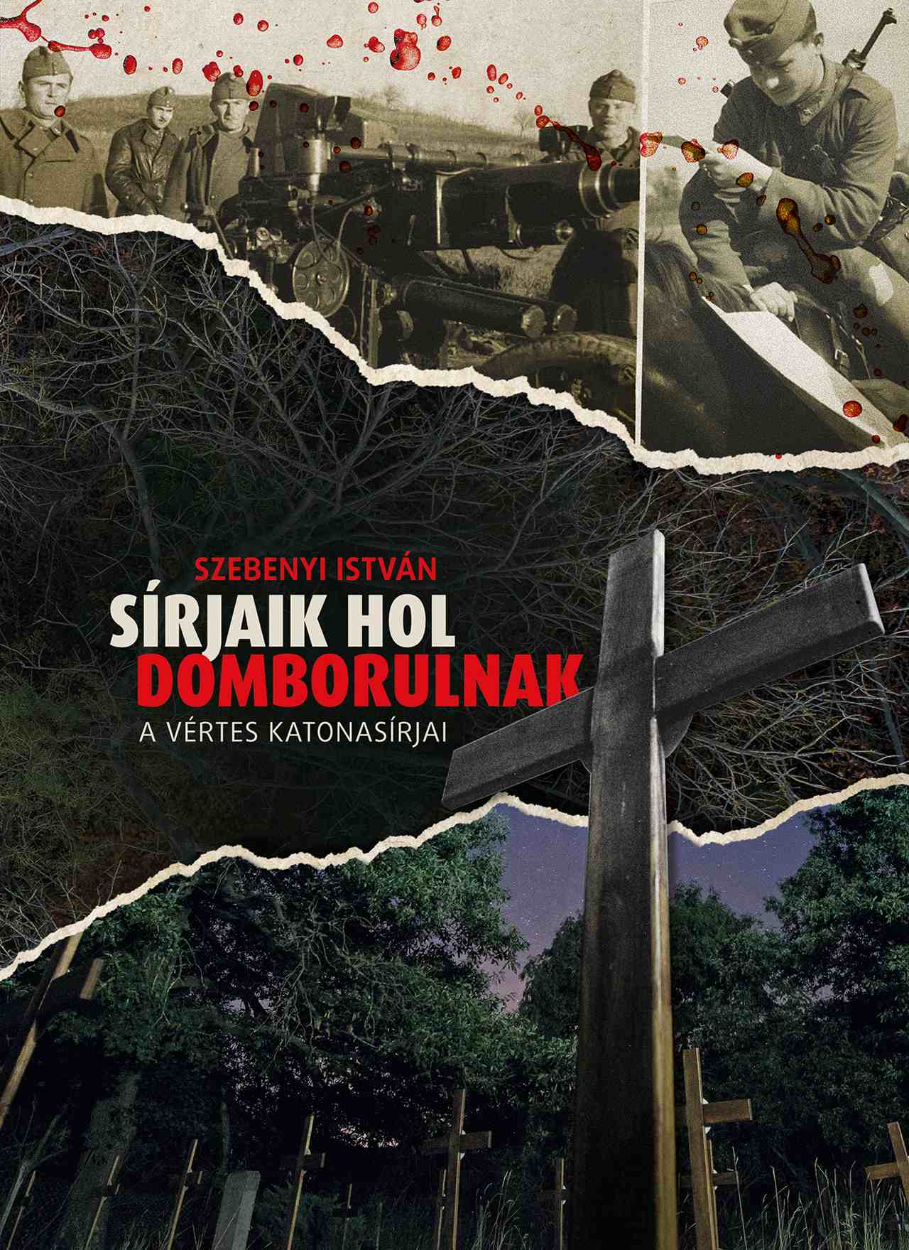 Szebenyi István - Sírjaik hol domborulnak - A Vértes katonasírjai