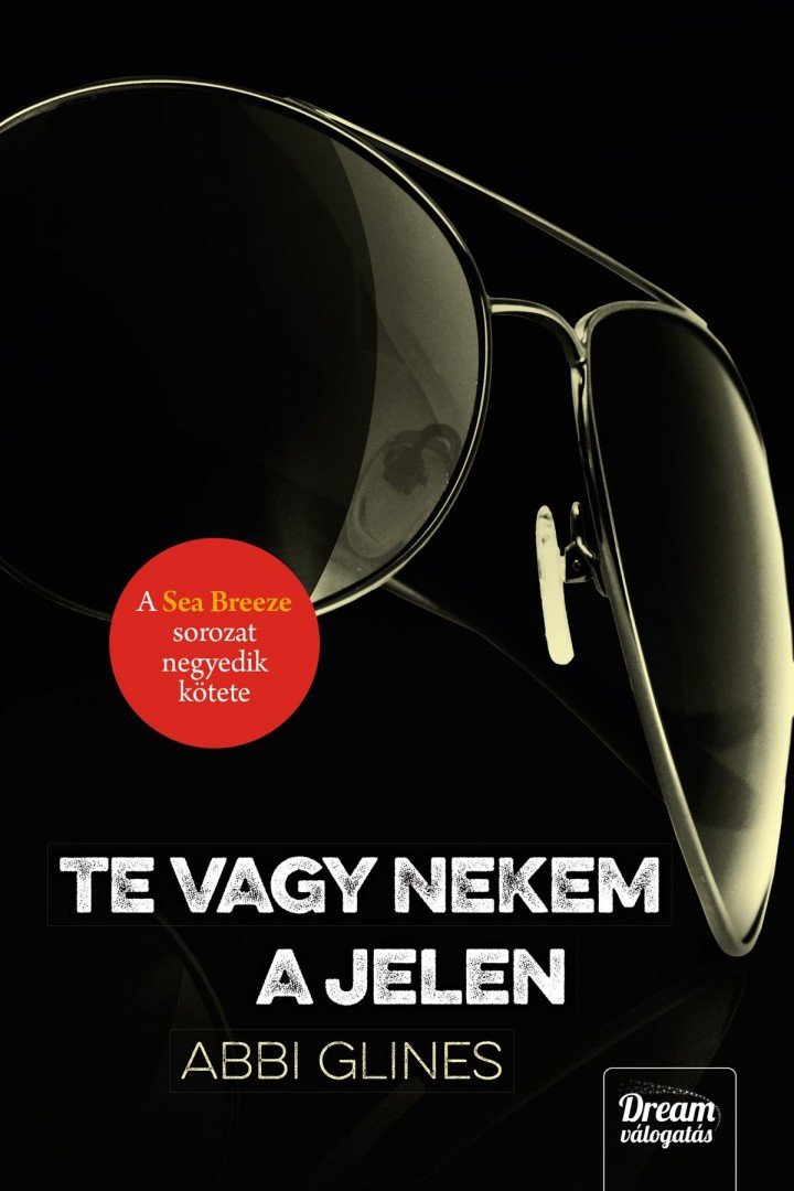 Abbi Glines - Te vagy nekem a jelen [antikvár]
