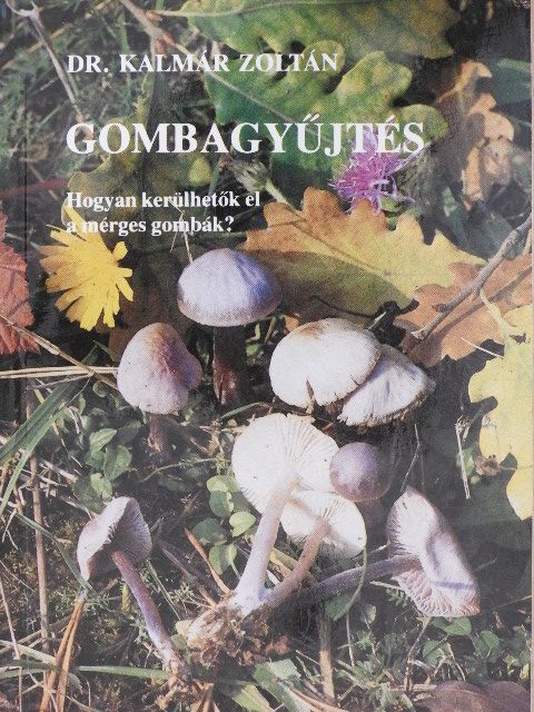 Dr. Kalmár Zoltán - Gombagyűjtés [antikvár]