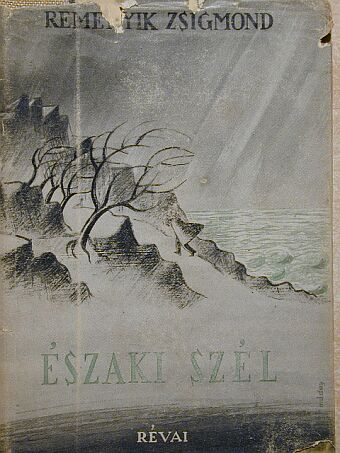 Remenyik Zsigmond - Északi szél [antikvár]