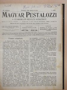 Csiky Lajos - Magyar Pestalozzi 1906. (nem teljes évfolyam) [antikvár]