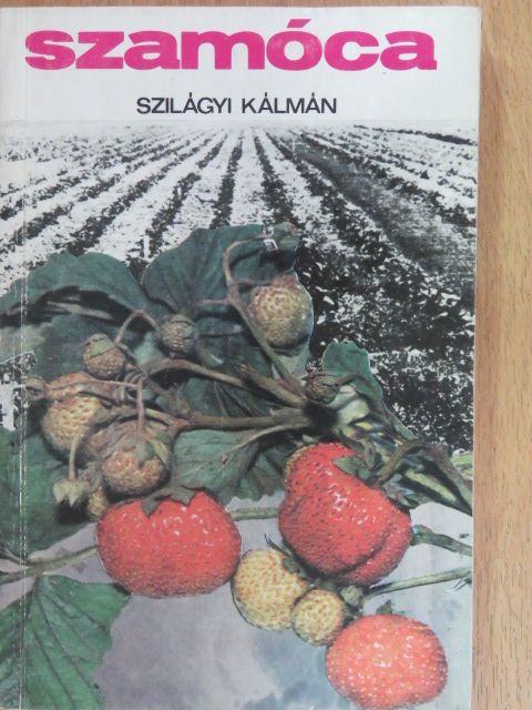 Szilágyi Kálmán - Szamóca [antikvár]