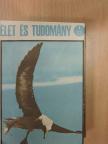 Antall József - Élet és Tudomány 1966. (nem teljes évfolyam)  [antikvár]