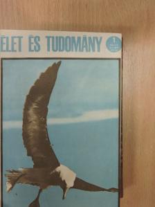 Antall József - Élet és Tudomány 1966. (nem teljes évfolyam)  [antikvár]