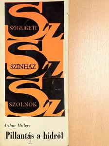 Arthur Miller - Pillantás a hídról [antikvár]