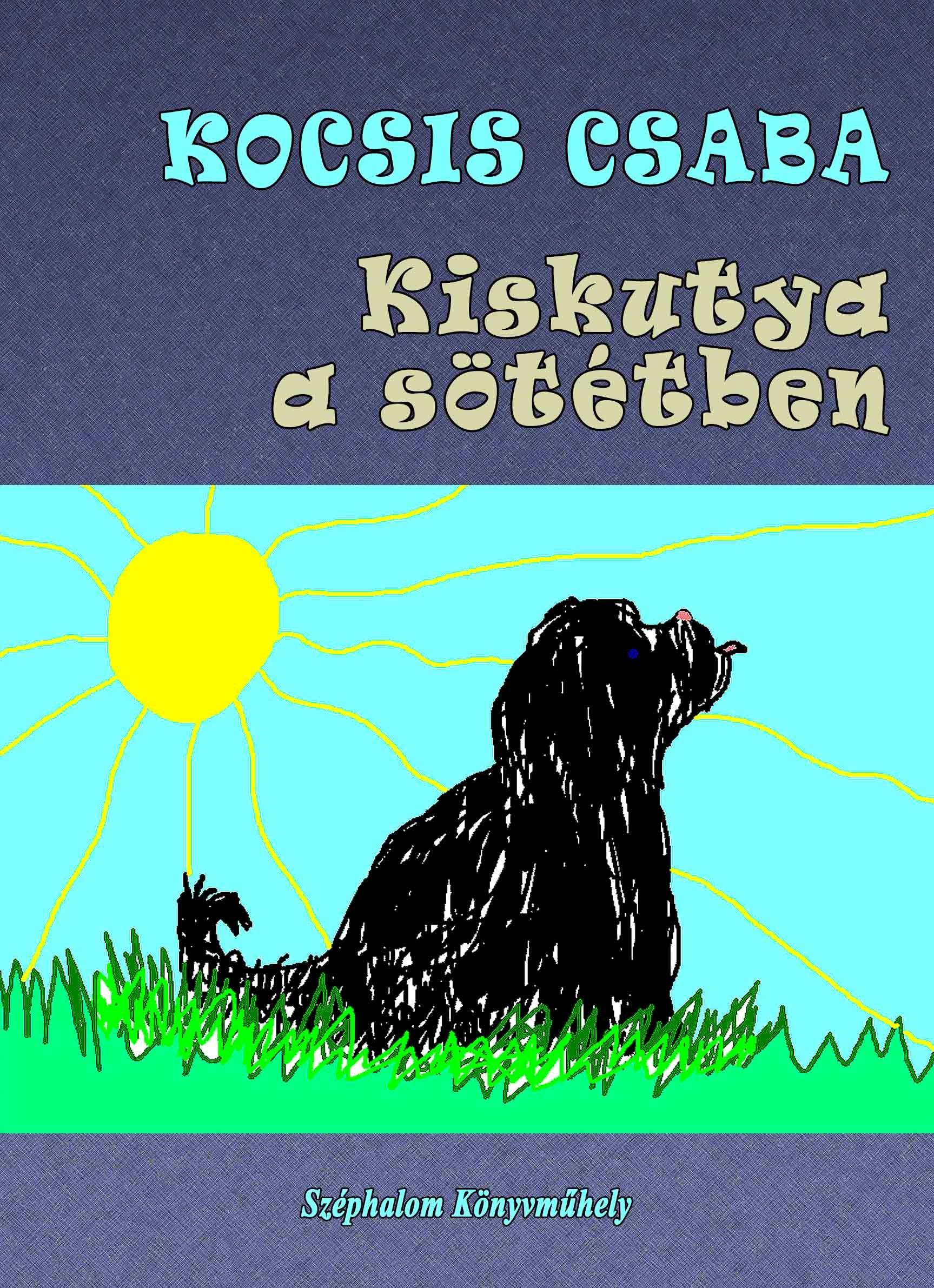 Kocsis Csaba - Kiskutya a sötétben -ÜKH 2016